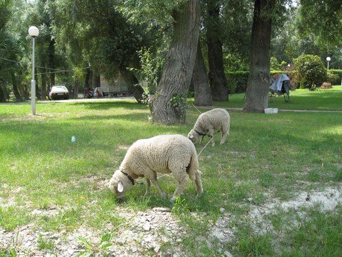 IMG_3957.JPG