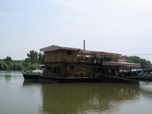 IMG_3959.JPG
