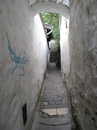IMG_3976.JPG