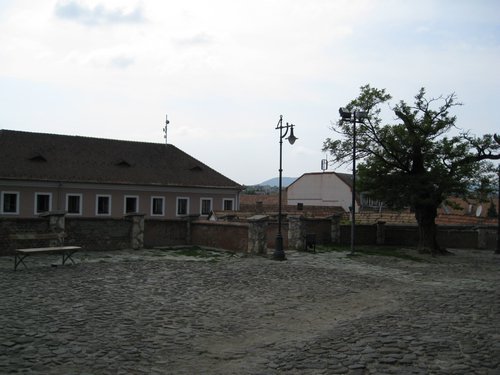 IMG_3978.JPG