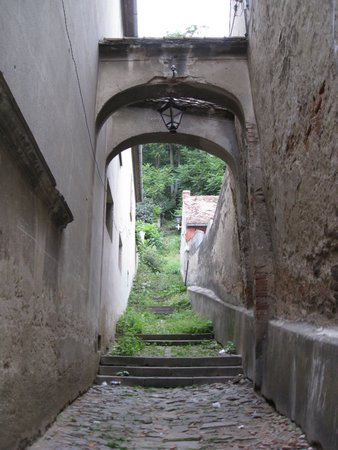 IMG_4043.JPG