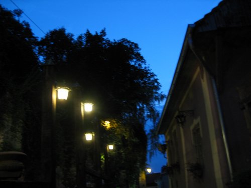 IMG_4051.JPG