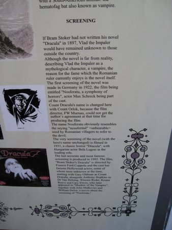 IMG_4166.JPG