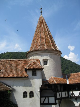IMG_4173.JPG