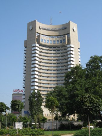 IMG_4242.JPG