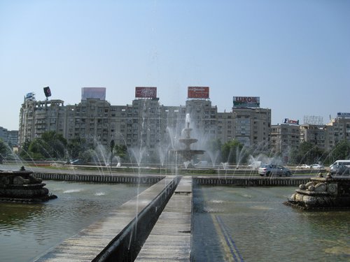 IMG_4245.JPG