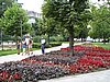 IMG_3712.JPG