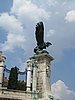 IMG_3735.JPG