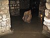 IMG_3757.JPG