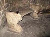 IMG_3766.JPG