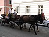 IMG_3801.JPG