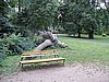 IMG_3821.JPG