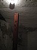 IMG_3931.JPG