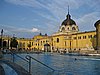 IMG_3942.JPG