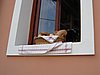 IMG_3961.JPG