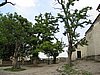 IMG_3981.JPG
