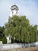 IMG_4003.JPG
