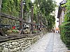 IMG_4027.JPG