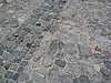 IMG_4034.JPG