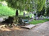 IMG_4036.JPG