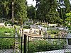 IMG_4037.JPG
