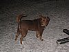 IMG_4057.JPG