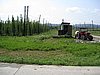 IMG_4066.JPG
