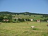 IMG_4068.JPG