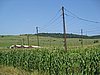 IMG_4069.JPG