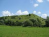 IMG_4079.JPG