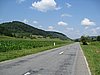IMG_4080.JPG