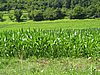 IMG_4081.JPG