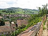 IMG_4084.JPG