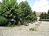 IMG_4115.JPG