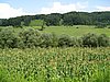 IMG_4118.JPG