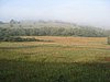 IMG_4126.JPG