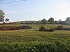 IMG_4128.JPG