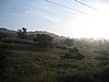 IMG_4129.JPG