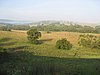 IMG_4132.JPG