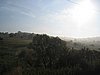 IMG_4133.JPG