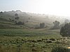 IMG_4135.JPG