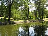 IMG_4189.JPG