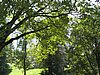 IMG_4190.JPG