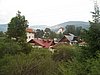 IMG_4230.JPG