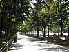 IMG_4249.JPG