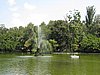 IMG_4259.JPG