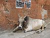 IMG_6149.JPG