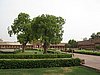 IMG_6160.JPG