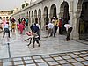 IMG_6221.JPG