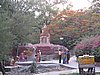 IMG_6226.JPG